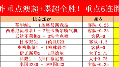 阿根廷2025年世界杯简介